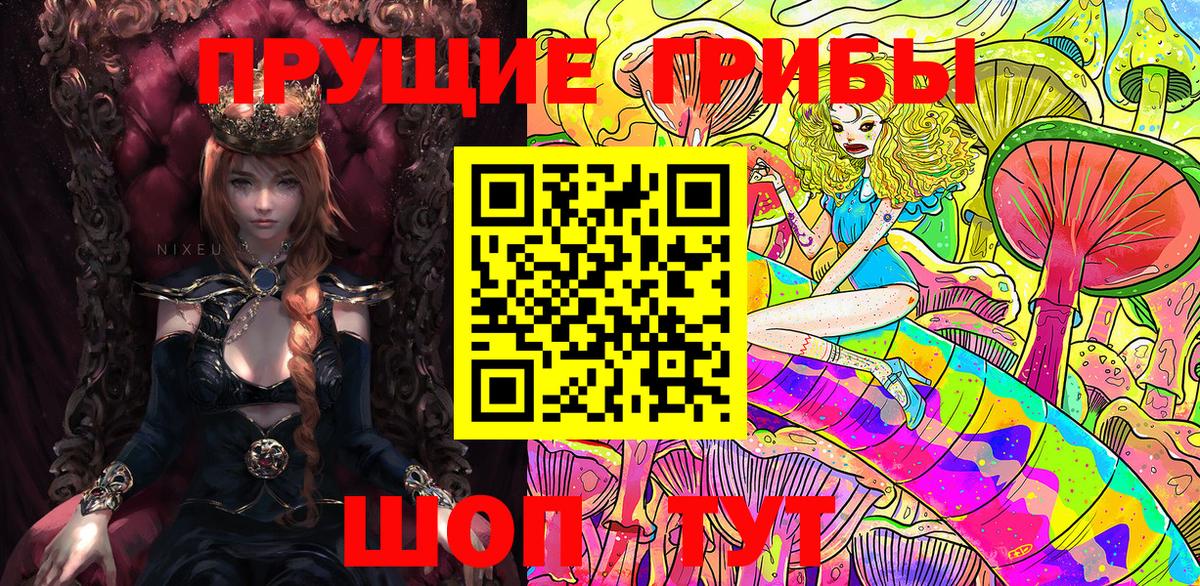 Псилоцибиновые грибы Cubensis Октябрьский
